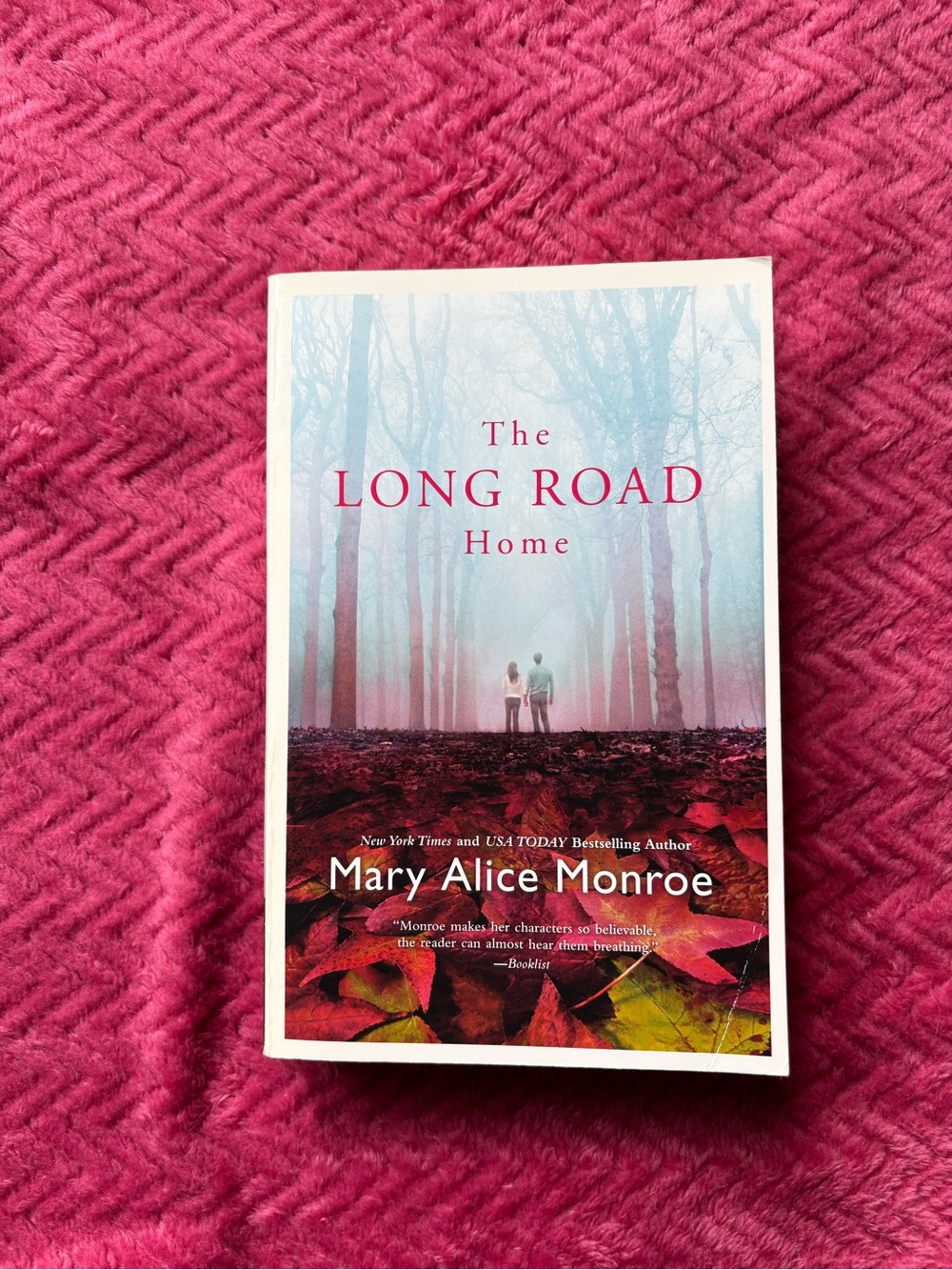 The Long Road Home by Mary Alice Monroe